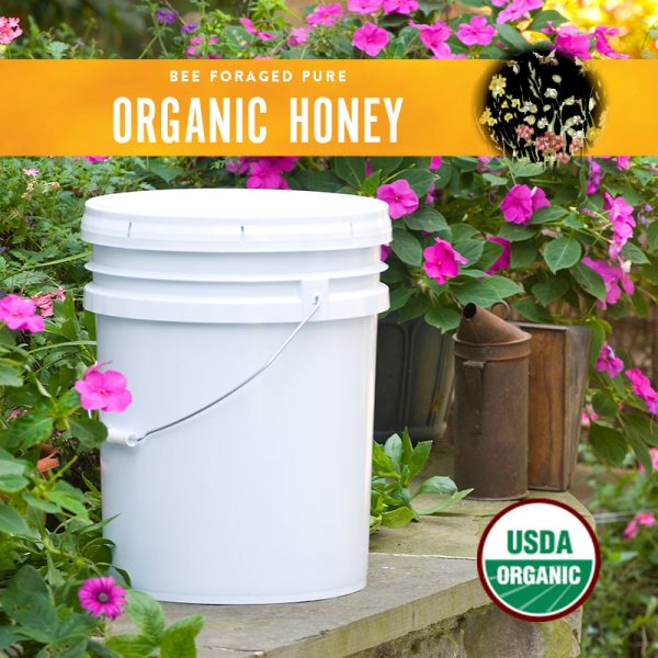 Organic Honey Pail